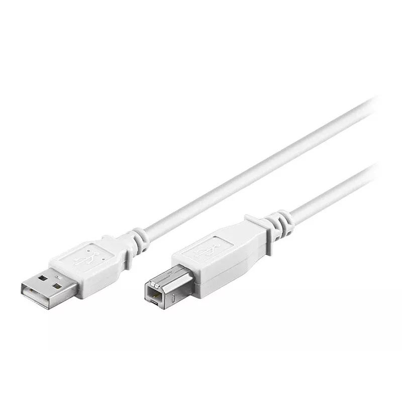 Wentronic 96186 Cavo USB 2.0, connettore USB-A maschio a USB-B maschio, 1,8 m, bianco