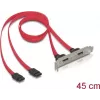 Delock Staffa slot interna 2x SATA a 2x eSATA esterni (65116)