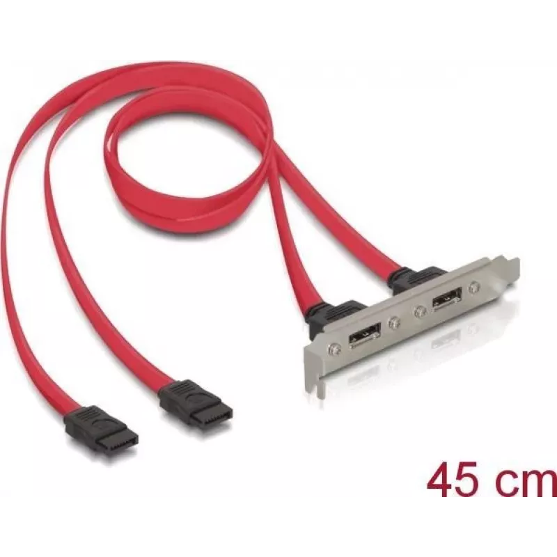 Delock Staffa slot interna 2x SATA a 2x eSATA esterni (65116)