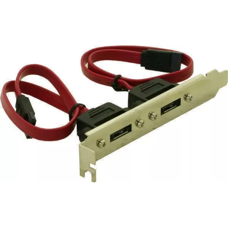 Delock Staffa slot interna 2x SATA a 2x eSATA esterni (65116)
