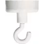 FRANKEN calamita con gancio HM25, forza di tenuta 4 kg, diametro 25 mm, bianco, 1 pezzo