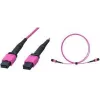 LogiLink FM7LC05 cavo patch MPO, 12 fibre, multimodale OM4 50/125 µm, MPO/PC B/B, tipo B, 5 m