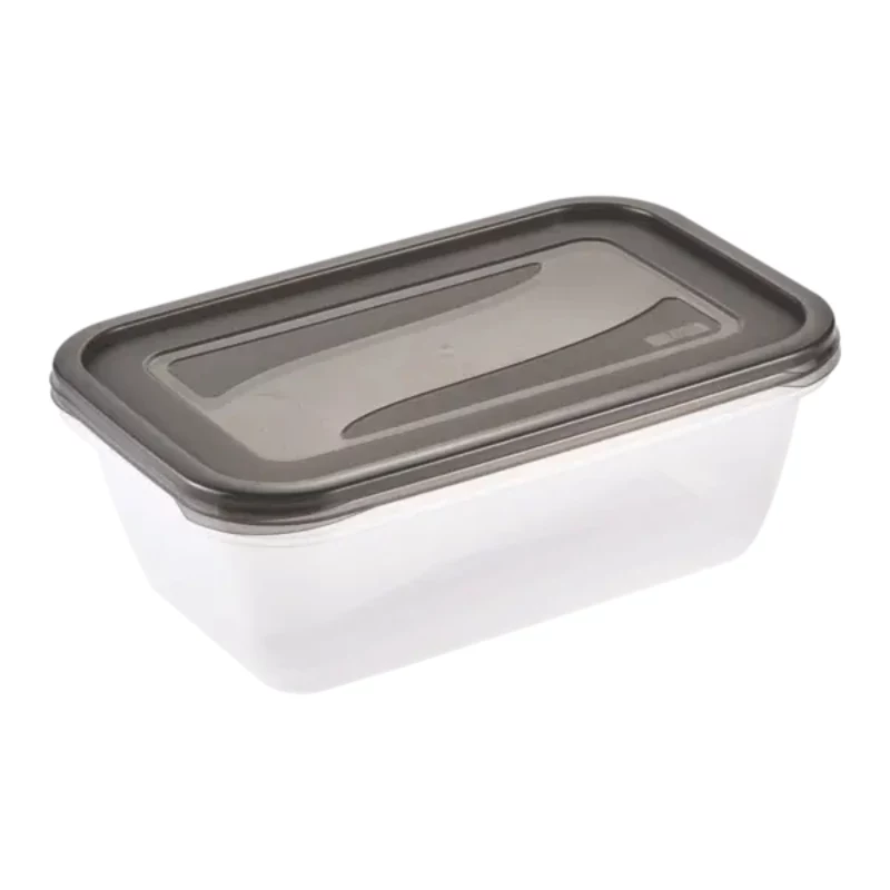keeeper fredo fresh Set contenitori per alimenti, 2 x 3,3 L, rettangolare, trasparente con coperchi grigi 3068082700000