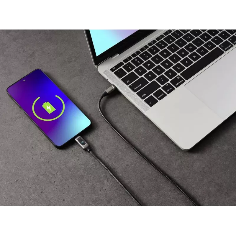 Renkforce cavo USB-C a USB-C 2.0, 2 m, argento (metallico) RF-6249498