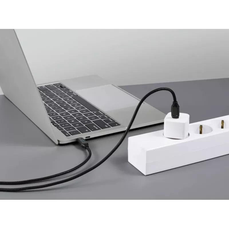Renkforce cavo USB-C a USB-C 2.0, 2 m, argento (metallico) RF-6249498