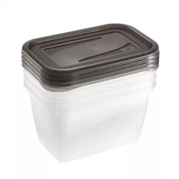 keeeper fredo fresh set contenitori per conservazione, 4 x 0,75 L, rettangolari, trasparenti con coperchi grigi 3067382700000
