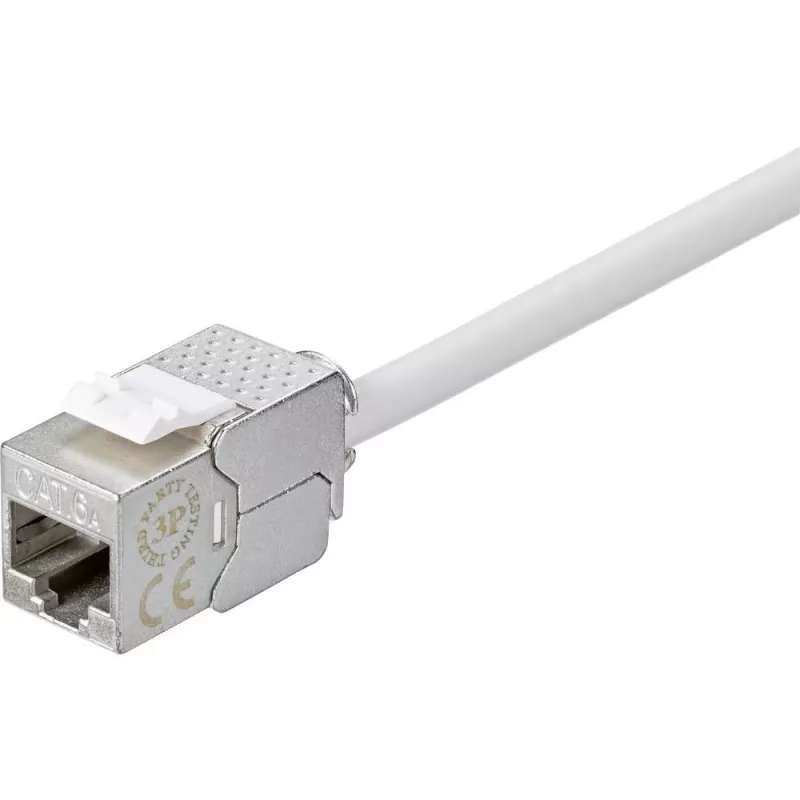 Renkforce RF-4531196 connettore femmina RJ45 Cat.6a schermato argento