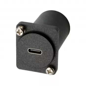 EXSYS EX-49172 adattatore tipo D USB-C femmina a DisplayPort femmina