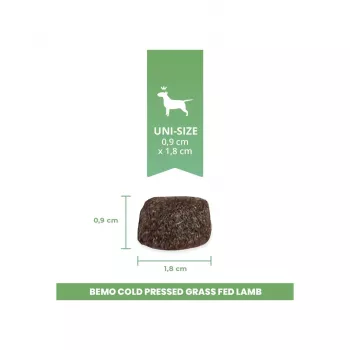 BEMO cibo secco pressato a freddo per cani con carne di agnello da pecore allevate a erba 1 kg