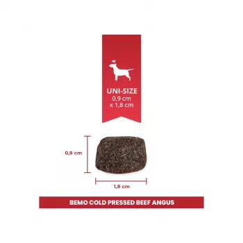 BEMO cibo secco pressato a freddo manzo Angus Mono per cani - 1 kg