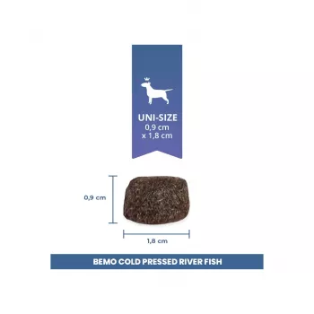 BEMO Flussfisch Mono crocchette per cani pressate a freddo 1kg