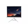 celexon Economy schermo a treppiede 133 x 133 cm White Edition