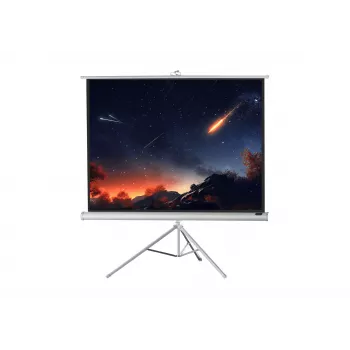 celexon Economy schermo a treppiede 133 x 133 cm White Edition
