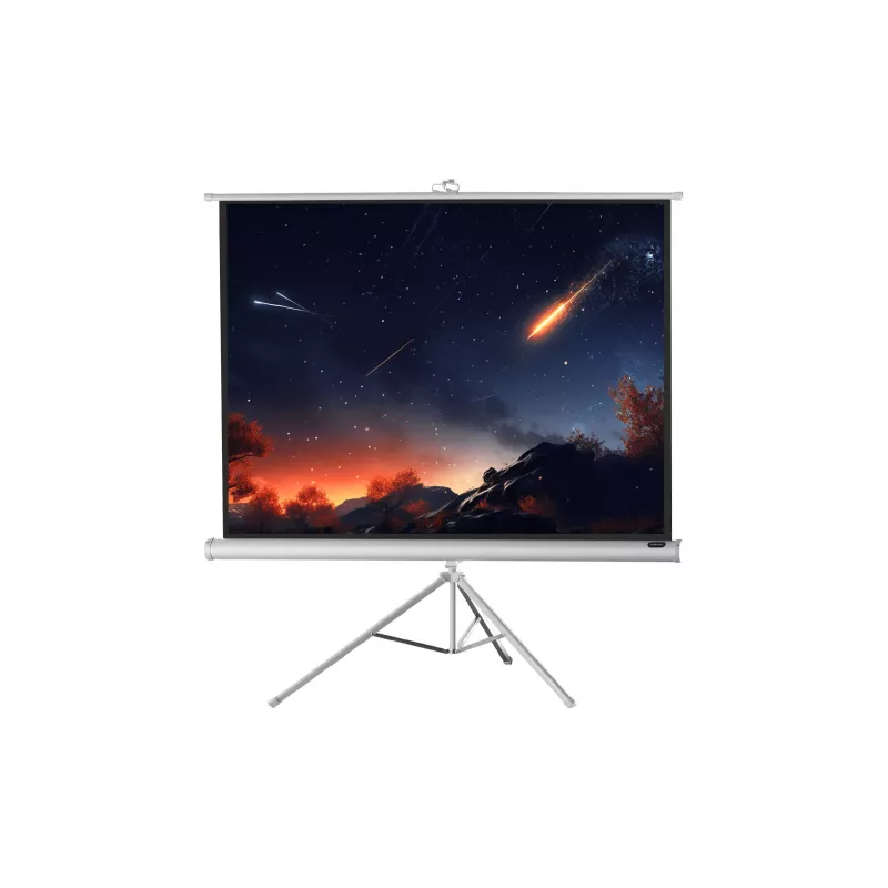 celexon Economy schermo a treppiede 133 x 133 cm White Edition
