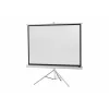 celexon Economy schermo a treppiede 133 x 133 cm White Edition
