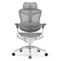 Sihoo DORO C300 Pro sedia da ufficio ergonomica in mesh bianco