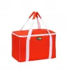 GIOSTYLE Borsa termica Evo Square Assortiti, Verde/Rosso/Blu con decorazione, 15 L