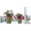 STEFANPLAST vaso da fiori con sottovaso Ethica Ø40x39cm verde