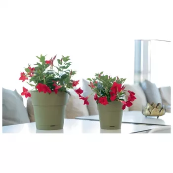STEFANPLAST vaso da fiori con sottovaso Ethica Ø40x39cm verde