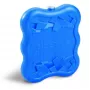 GIOSTYLE Elemento refrigerante Ice Ole 1000 – pacco refrigerante riutilizzabile, 1000 ml, blu