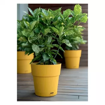 STEFANPLAST Ethica vaso con sottovaso Ø40x39cm giallo senape