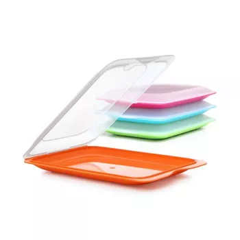 TATAY Contenitore per affettati 17x25,2x3,2 cm assortiti