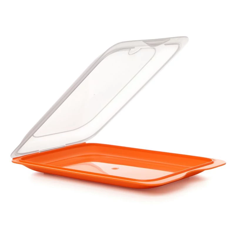 TATAY Contenitore per affettati 17x25,2x3,2 cm assortiti