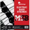 Galli MSB40105 Magnesium Steel Bass Guitar Strings 4-String Set .040-.105 Long Scale