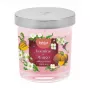 Bolsius Floral Fusion Candela profumata gelsomino e mango in vetro, 80x72 mm
