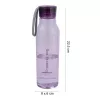 LOCKNLOCK Eco Bottle 550 ml lilla
