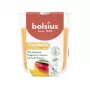 BOLSIUS True Scents candela profumata al mango in vetro Ø80x73mm