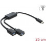 Delock Hub a cavo USB 5 Gbps 2 porte Type-A con connettore USB Type-C™ 25 cm (64373)