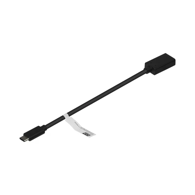 EFB-Elektronik adattatore USB-C a DisplayPort 1.2, 4K 60 Hz, nero
