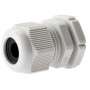 Axis pressacavo A M20, confezione da 5 (2651713000)