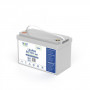 Volt Polska batteria ricaricabile LiFePO4 litio-ferro-fosfato 12V 100Ah, 100A