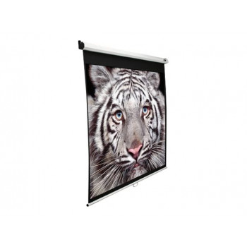 Elite Screens Manual Series M100XWH-E24 schermo per proiezione 254 cm (100