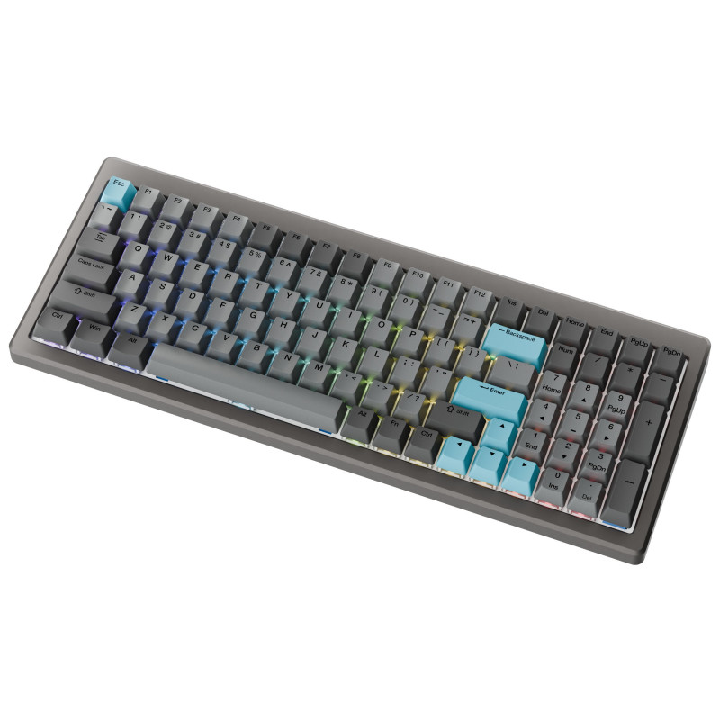 Ducky Cushion 98 tastiera gaming, 96%, layout US (ANSI), Shush Green Switches - Nickel (DKCUS2598-DDUSPHCC3H1)