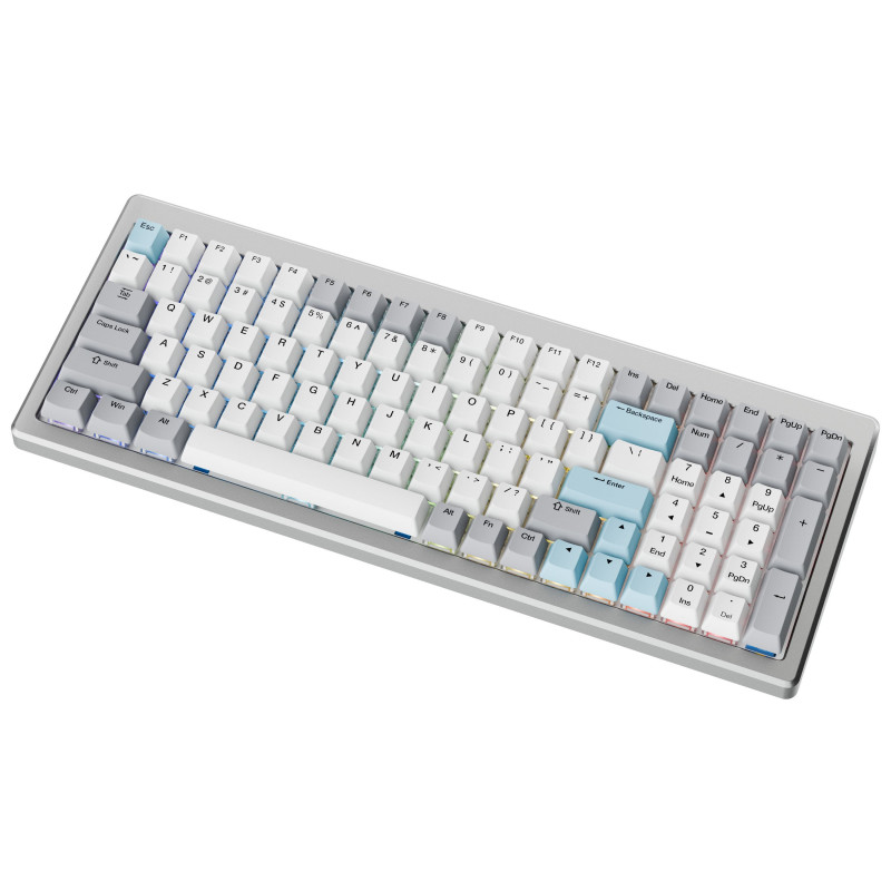 Ducky Cushion 98 tastiera gaming, 96%, layout US (ANSI), Shush Green Switches - argento (DKCUS2598-DDUSPHCC4S1)