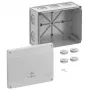 Spelsberg Abox Pro 250-L scatola di derivazione, IP66/IP67/IP69, 42540001