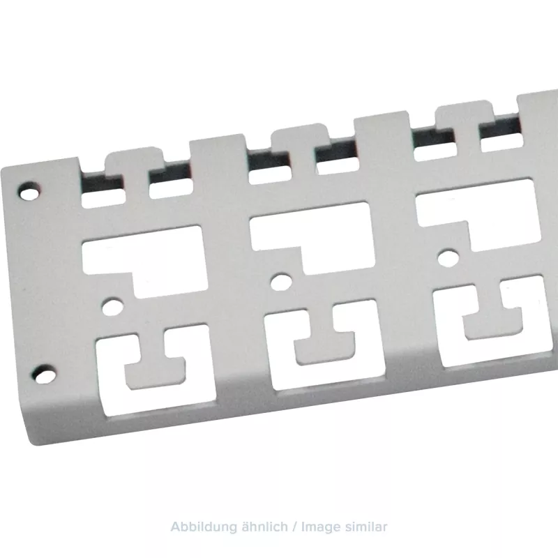 Triton barra di gestione cavi 19 pollici per rack, armadio profondo 1000 mm, grigio