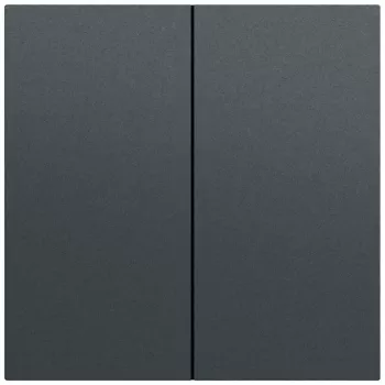 Gira System 70 tasto bilanciere 2 moduli, antracite verniciato, 329573