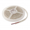Striscia LED Flex Synergy 21 3528 60, rossa, 24 V DC, 24 W, IP68