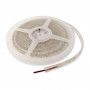 Striscia LED Flex Synergy 21 3528 60, rossa, 24 V DC, 24 W, IP68