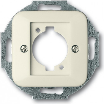 Busch-Jaeger 1724-0-0624 Placca a parete / coprifilo interruttore, argento-bianco