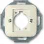 Busch-Jaeger 1724-0-0624 Placca a parete / coprifilo interruttore, argento-bianco