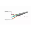 Gembird cavo patch Cat5e U/UTP RJ45, 2 m, arancione