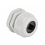 Delock pressacavo PG29 per cavo piatto grigio 2 pz.