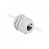 Delock pressacavo PG29 per cavo piatto grigio 2 pz.