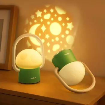 Mideer luce notturna – fungo magico