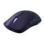 Lenovo Legion M220 RGB mouse gaming wireless, 2,4 GHz / Bluetooth / cavo, Nebula Purple (GY51V60439)